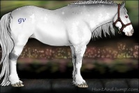 Horse Color:Silver Brown Chinchilla Splash 