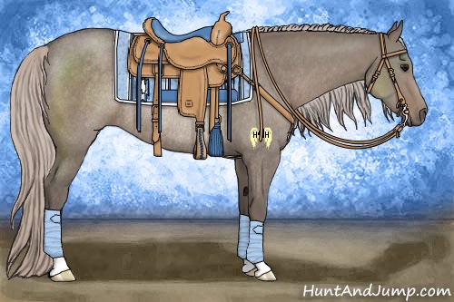 Horse Color:Silver Grullo Rabicano 