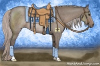 Horse Color:Silver Grullo Rabicano 