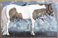 Horse Color:Silver Black Tobiano 