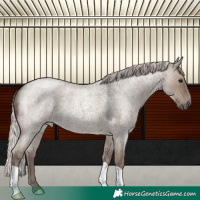 Horse Color:Silver Grullo Roan 