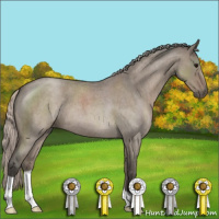 Horse Color:Silver Grullo Roan 