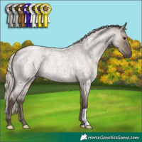 Horse Color:Silver Grullo Roan 