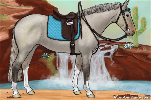 Horse Color:Silver Grullo Roan 