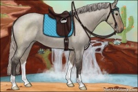 Horse Color:Silver Grullo Roan