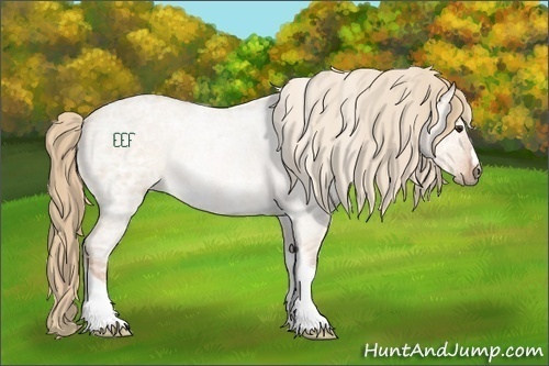 Horse Color:Red Dun Ice Rabicano
