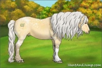 Horse Color:Silver Buckskin Ice 