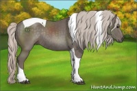 Horse Color:Silver Black Tobiano Rabicano