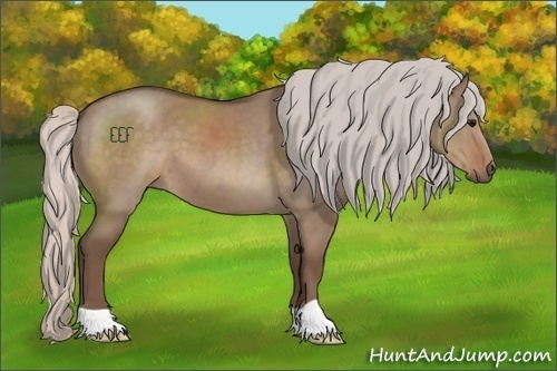Horse Color:Silver Grullo