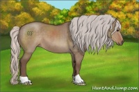 Horse Color:Silver Grullo