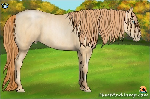 Horse Color:Amber Champagne Pearl  Brindle