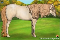 Horse Color:Amber Champagne Pearl  Brindle