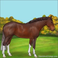 Horse Color:Chocolate Brown 