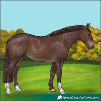 Horse Color:Chocolate Brown 