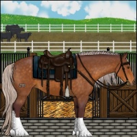 Horse Color:Chocolate Silver Buckskin 