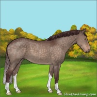 Horse Color:Chocolate Brown Dun
