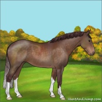 Horse Color:Chocolate Brown 