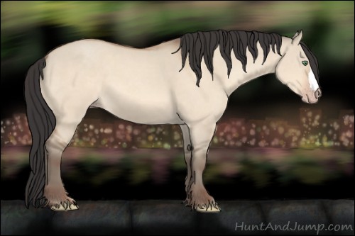 Horse Color:Amber Champagne Dun 