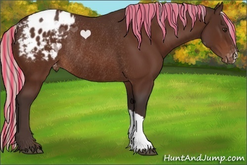 Horse Color:Painted Silver Brown Appaloosa Rabicano 