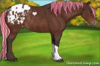 Horse Color:Painted Silver Brown Appaloosa Rabicano 