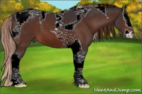 Horse Color:Painted Bay Splash Tobiano