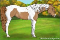 Horse Color:Chestnut Tobiano 
