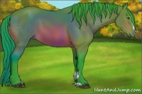 Horse Color:Watercolor Bay Sabino 