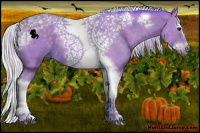 Horse Color:Watercolor Silver Black Splash Tobiano Frame 