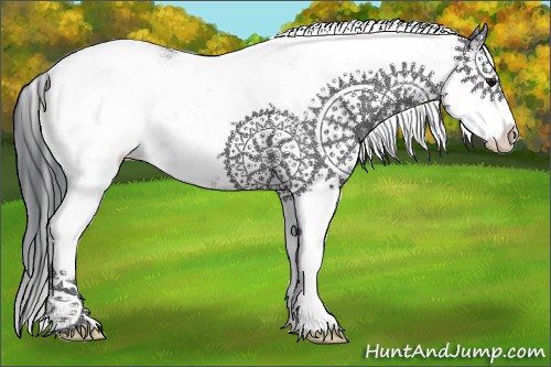 Horse Color:White Spotted Black Splash