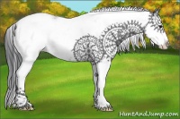 Horse Color:White Spotted Black Splash