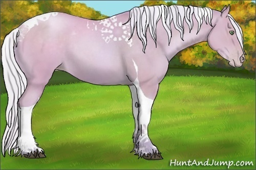 Horse Color:Watercolor Silver Brown Pearl Sabino Tobiano 