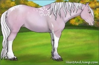 Horse Color:Watercolor Silver Brown Pearl Sabino Tobiano 