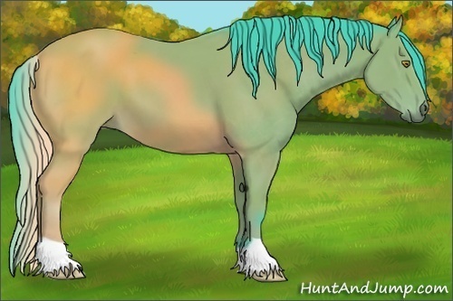Horse Color:Watercolor Bay