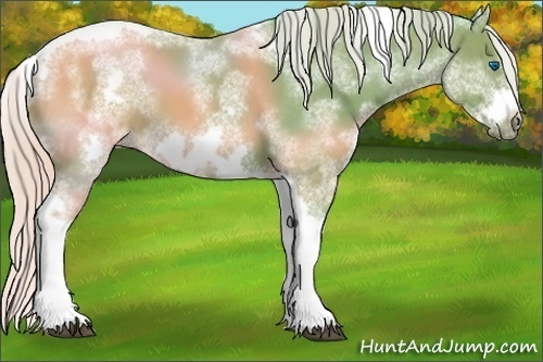 Horse Color:Watercolor White Spotted Silver Black Tobiano Frame