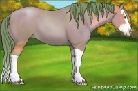 Horse Color:Watercolor Black Pearl Splash 