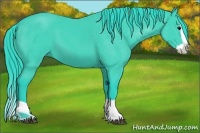 Horse Color:Watercolor Black Splash 