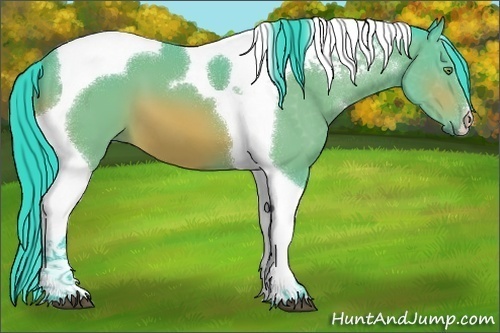 Horse Color:Watercolor Bay Tobiano 