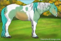 Horse Color:Watercolor Bay Tobiano