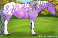 Horse Color:Watercolor Brown Tobiano Appaloosa