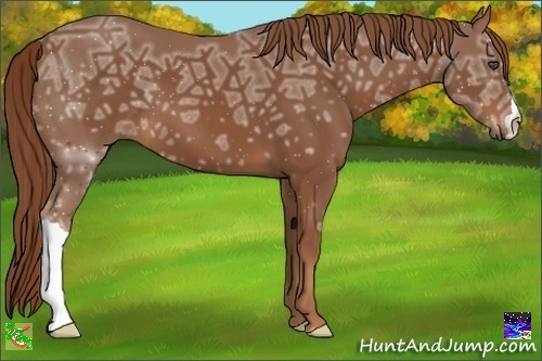 Horse Color:Chestnut Ice 