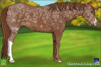 Horse Color:Chestnut Ice 