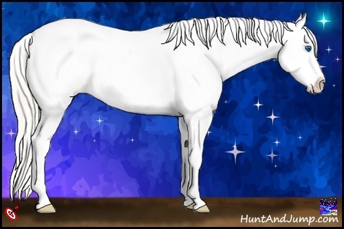 Horse Color:Silver Amber Champagne Splash Appaloosa 