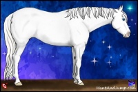 Horse Color:Silver Amber Champagne Splash Varnish 