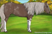 Horse Color:Silver Black Tobiano
