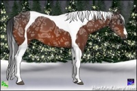 Horse Color:Bay Ice Tobiano