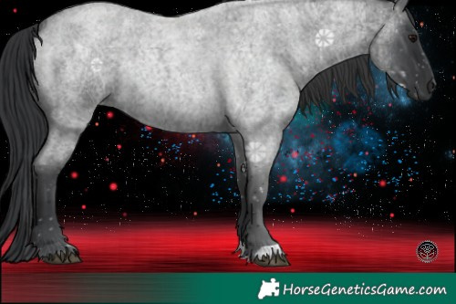 Horse Color:Blue Roan