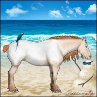 Horse Color:Buckskin Pearl Appaloosa 