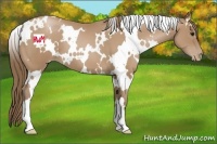 Horse Color:White Spotted Black Pearl 
