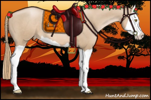 Horse Color:Liver Red Dun Pearl Splash Appaloosa 