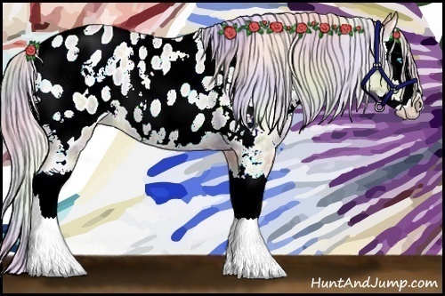 Horse Color:Nacre White Spotted Silver Smoky Grullo Ice Roan Pearl Splash Appaloosa 